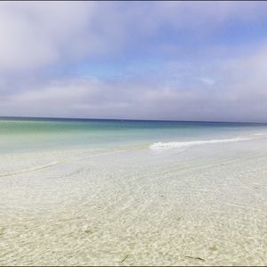 Meet your Posher, Sandy